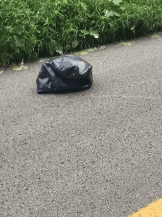 Mujer rescata a cachorro en bolsa de basura