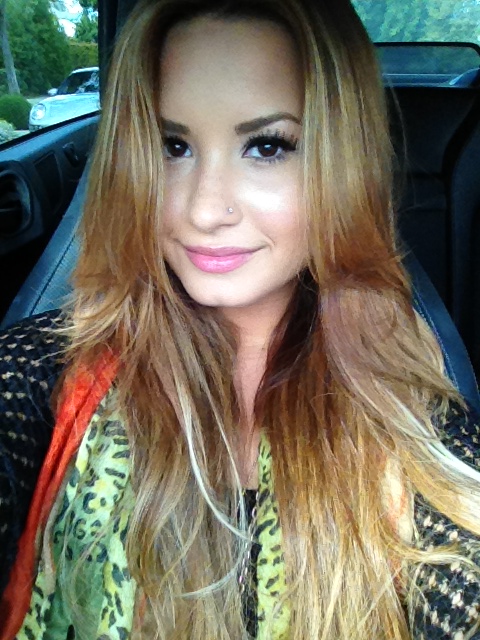 Demi Lovato pasa a ser del club de las rubias 