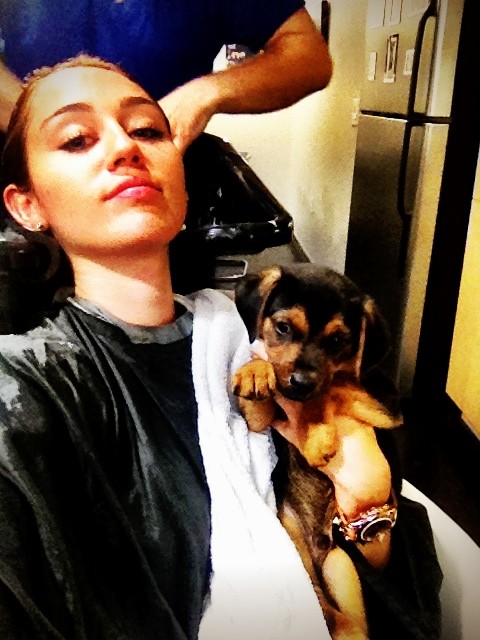 Miley Cyrus se cambia de look y no suelta al perro en ningún momento