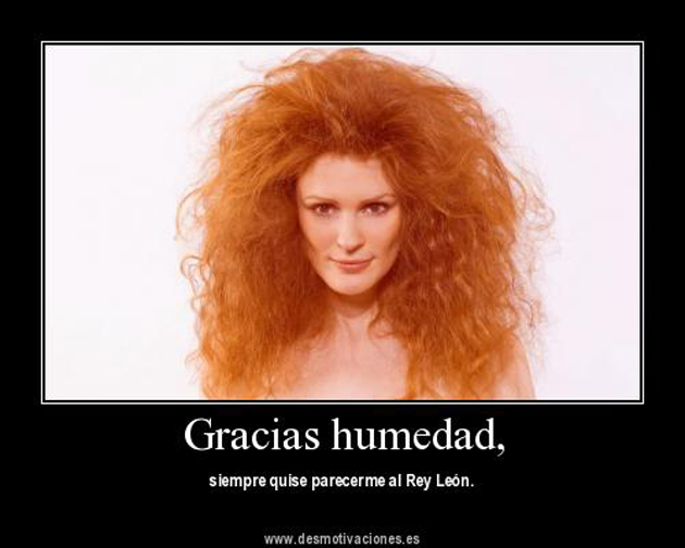 Vuelve la humedad, hazte con un buen anti-frizz