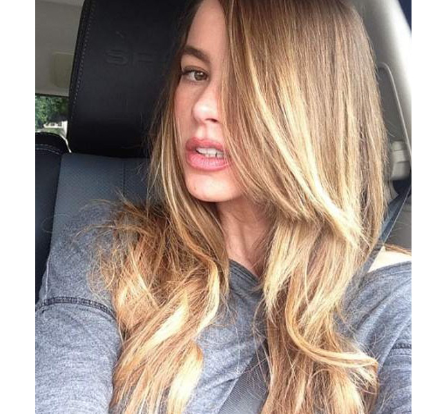 Sofia Vergara se tiñe de rubia y vuelve a su color natural 