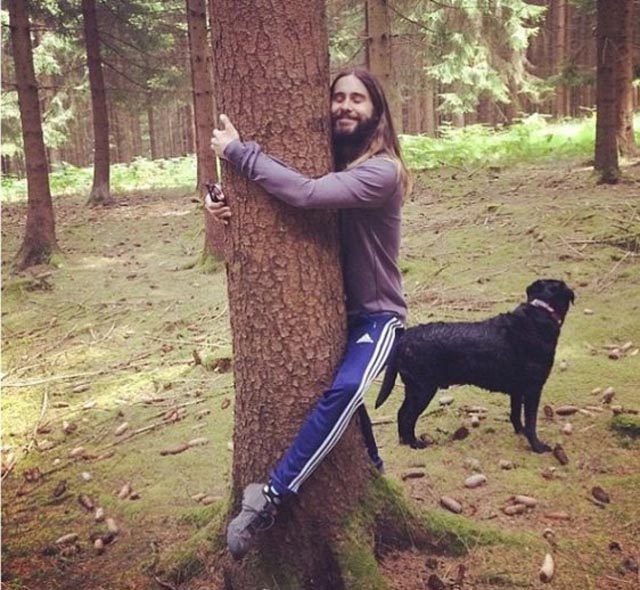 Jared Leto abrazando un árbol