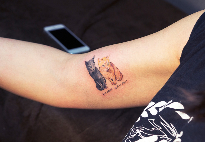 Tatuarte a tu gatito, o cómo luchar contra las leyes surcoreanas de forma adorable