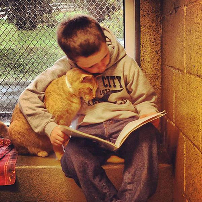 mujer lee libros a los perros de un refugio