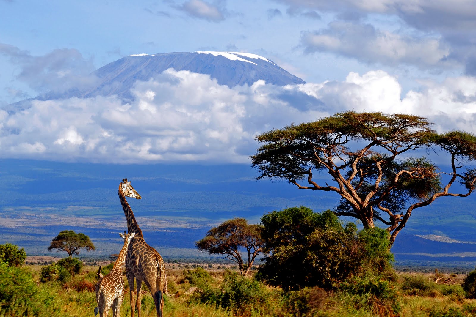 supervivientes al cancer de mama subiran el kilimanjaro