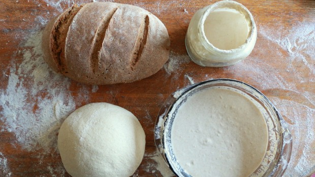pan con masa agria vaginal 