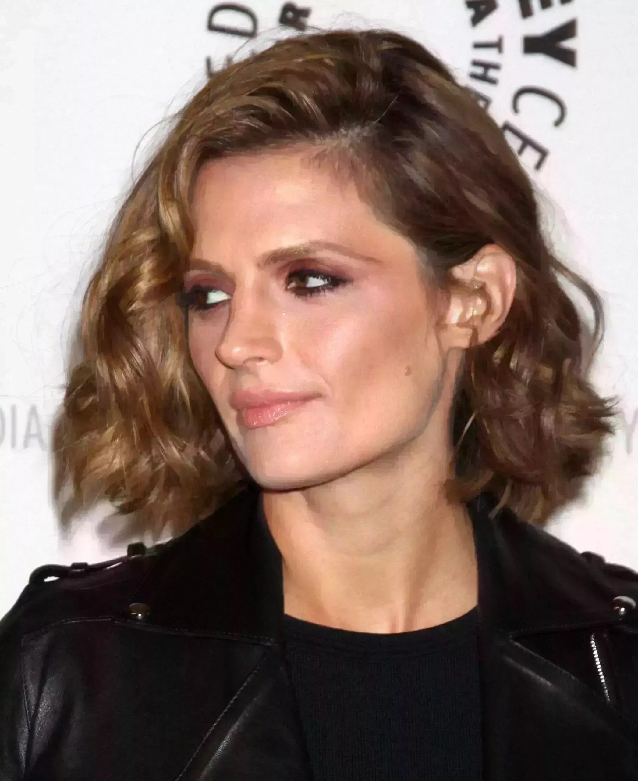 Stana Katic’s Side Natural-Part and Curls