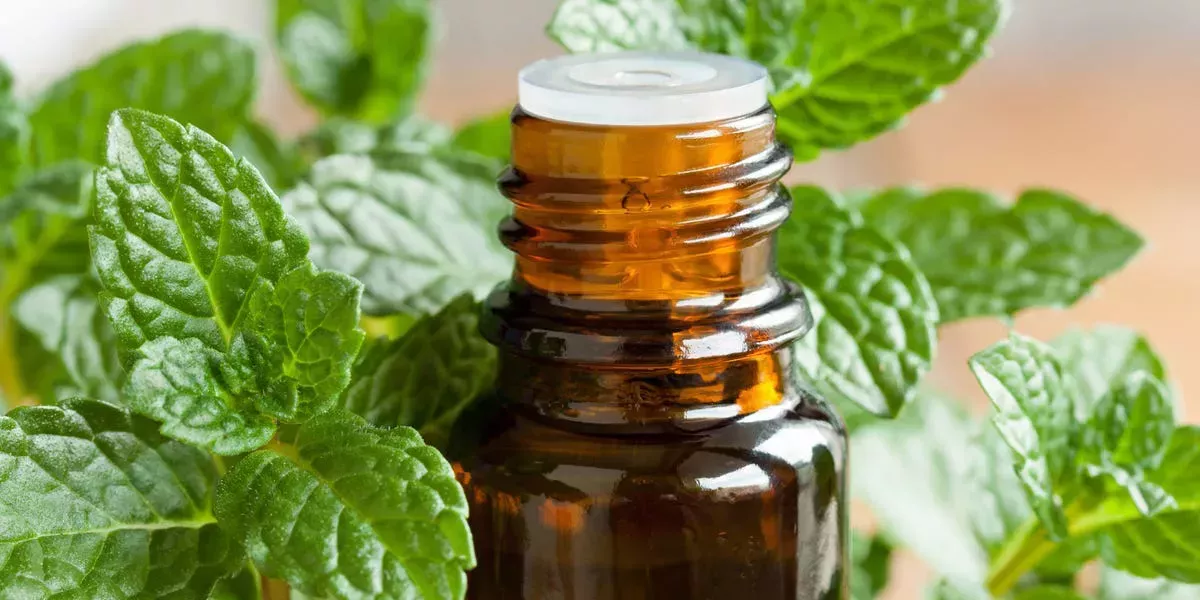 Cómo puede ayudar el aceite de menta a las náuseas, el síndrome del intestino irritable, los picores y mucho más