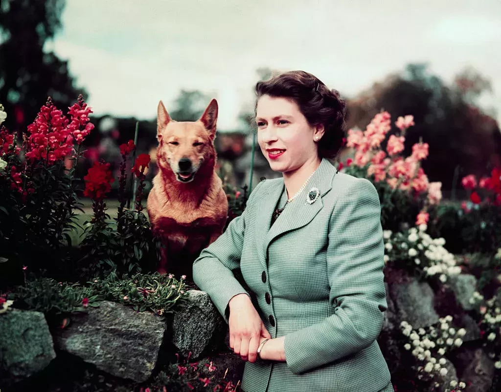 La reina Isabel II y sus mascotas reales