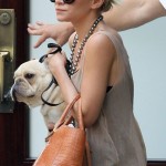 Ashley Olsen ha encontrado un nuevo complemento, un bulldog francés