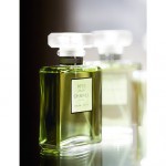 Chanel reinventa su número 19