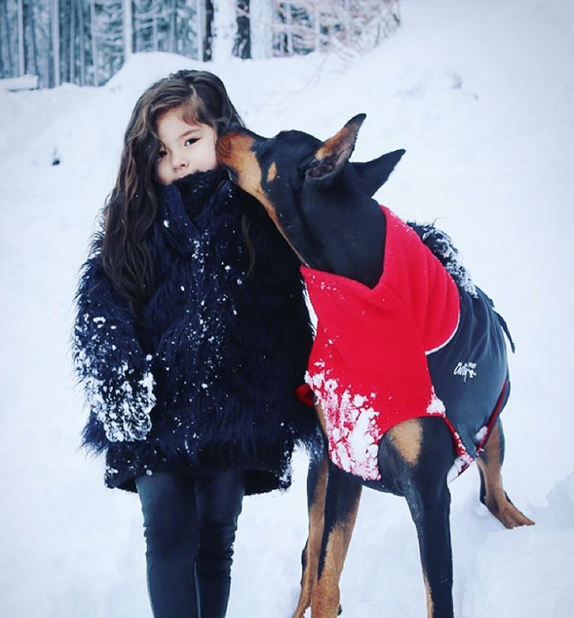 Amistad entre niña y doberman