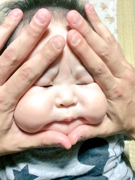 Bebés bolita de arroz 