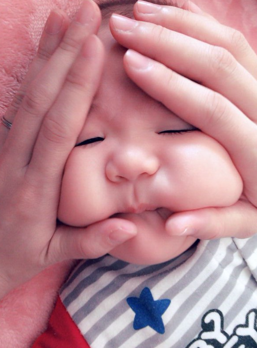 Bebés bolita de arroz 