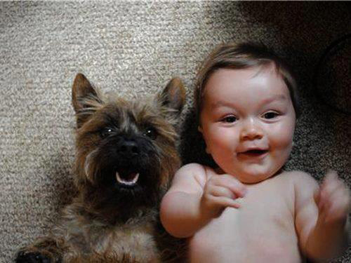 Bebés con sus perritos