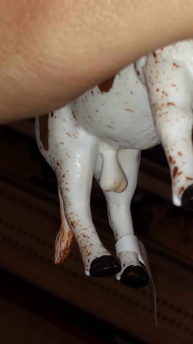 Animales de juguete con genitales grandes 