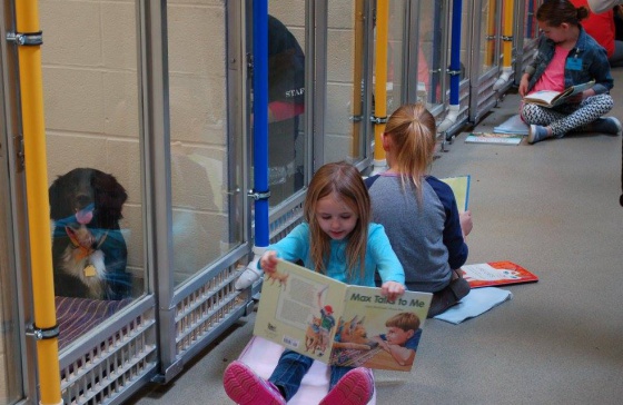 Cuentacuentos para perros