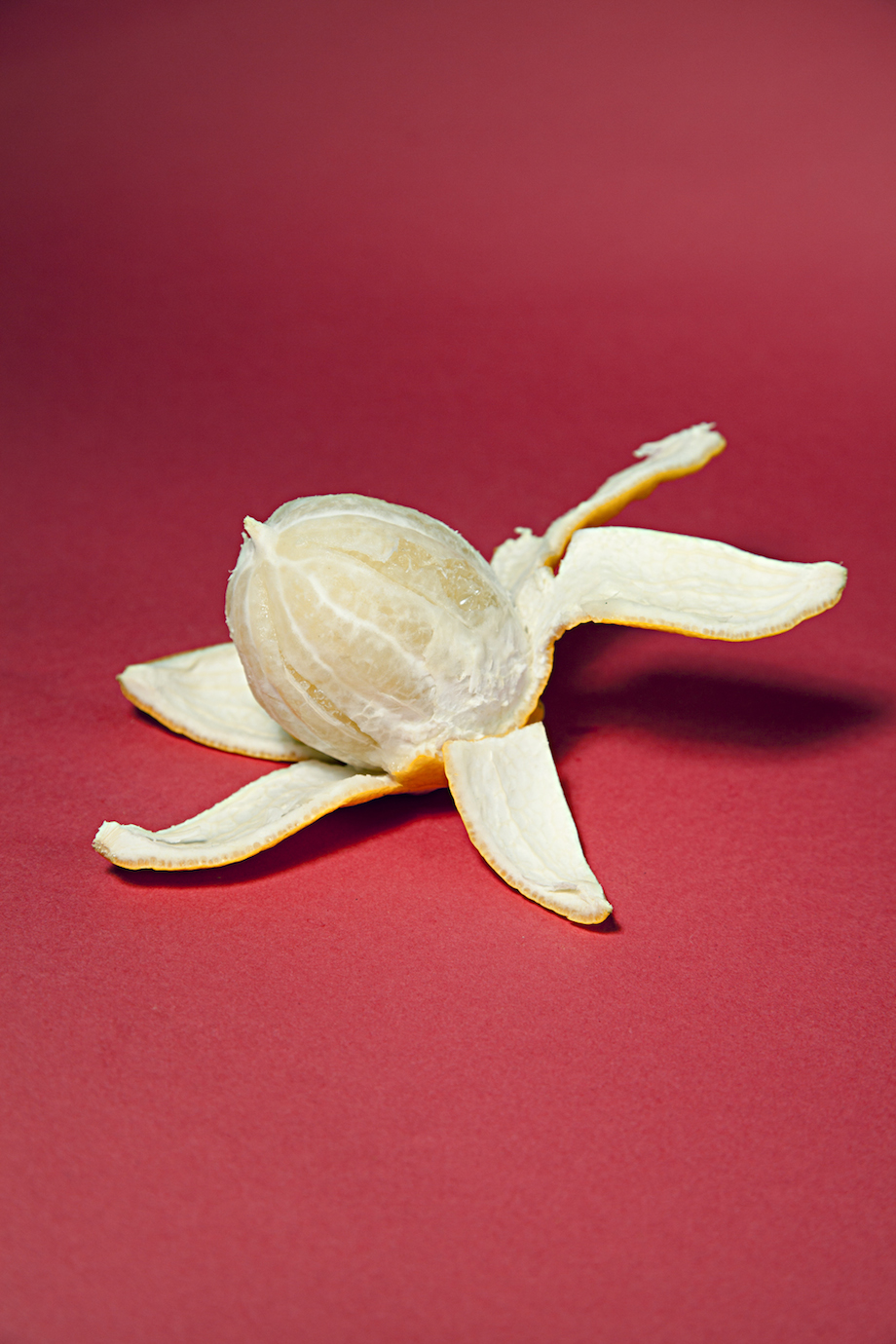 'Features of Feminity'