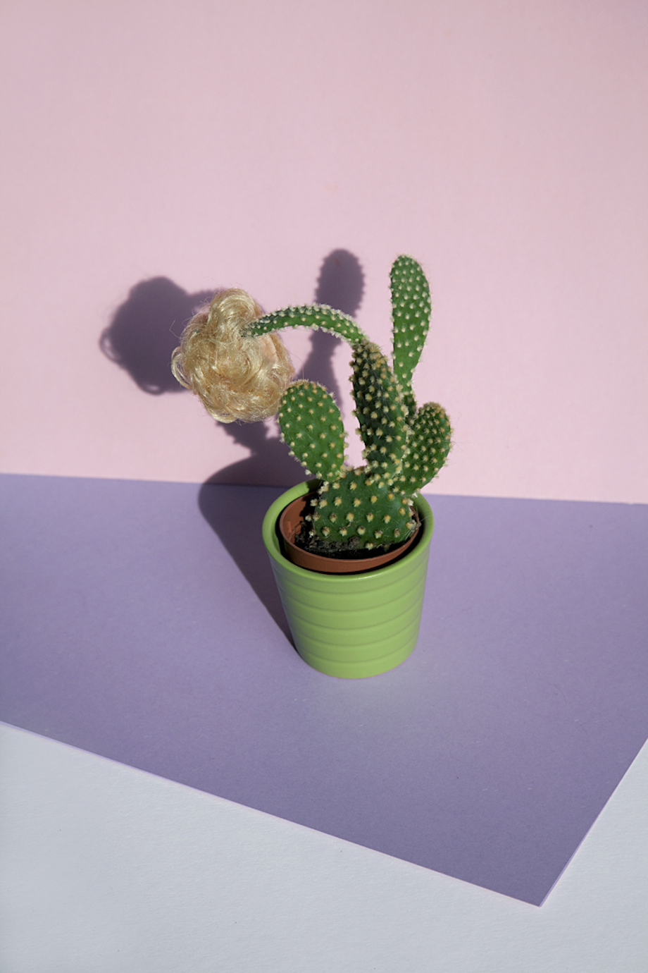 'Features of Feminity'