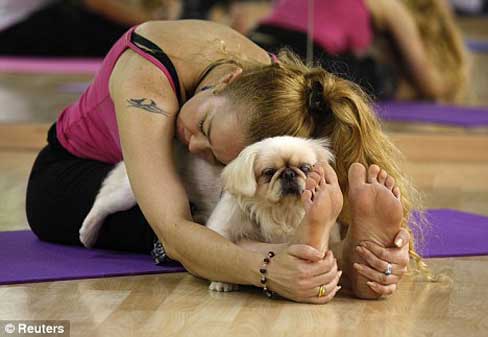 Doga: el yoga con perros