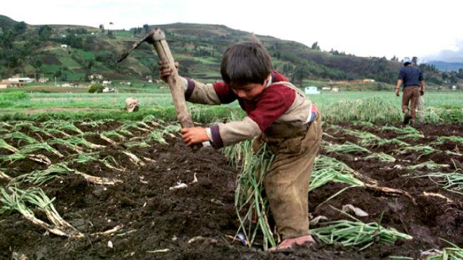 Impactantes imágenes de explotación infantil 