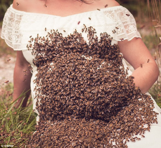Mujer embarazada se fotografía con miles de abejas