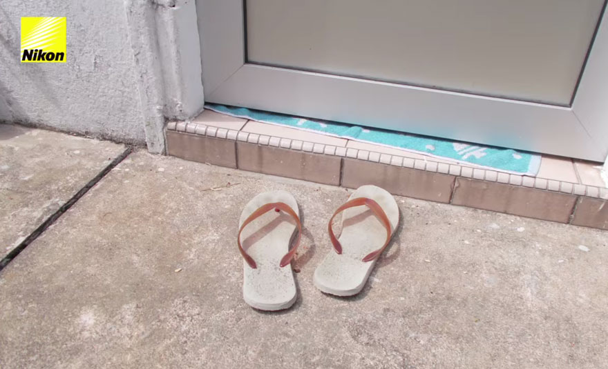 Fotos del primer perro fotógrafo