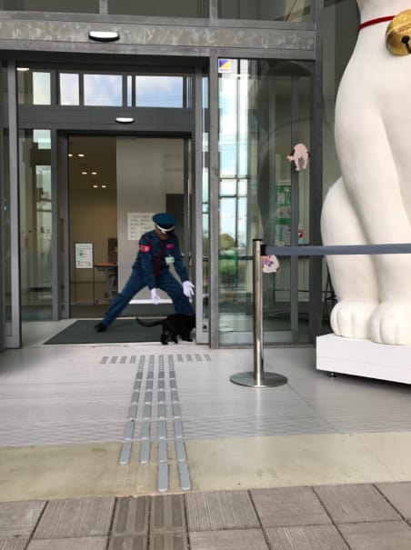 Gatitos intentando entrar en un museo