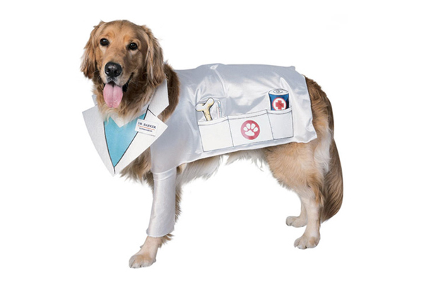 disfraces-mascotas-1