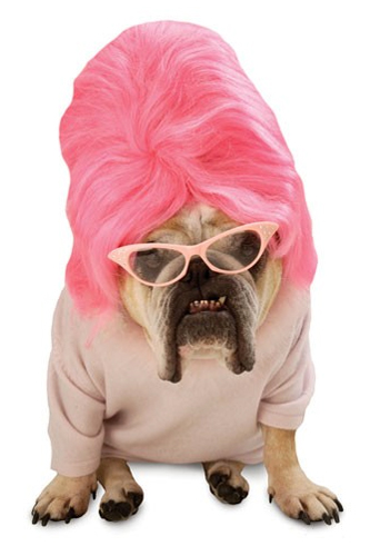 disfraces-mascotas-2