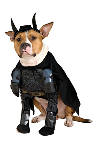 disfraces-mascotas-3