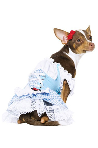 disfraces-mascotas-4