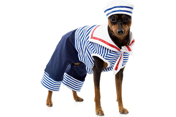 disfraces-mascotas-7