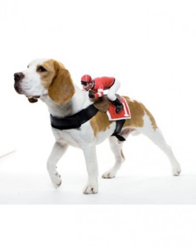 disfraces-mascotas-9