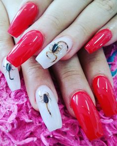 Manicuras con alacranes