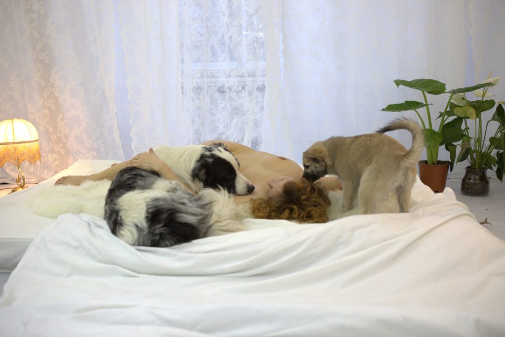 Proyecto de Maja Smrekar