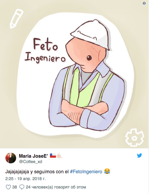 Memes del feto ingeniero