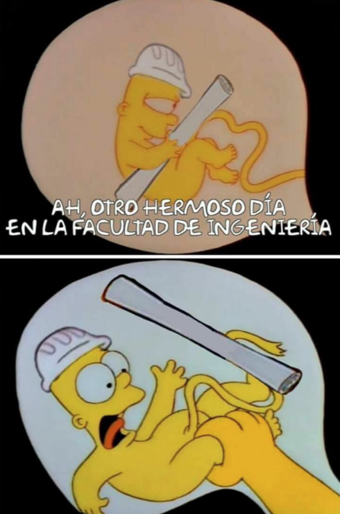 Memes del feto ingeniero
