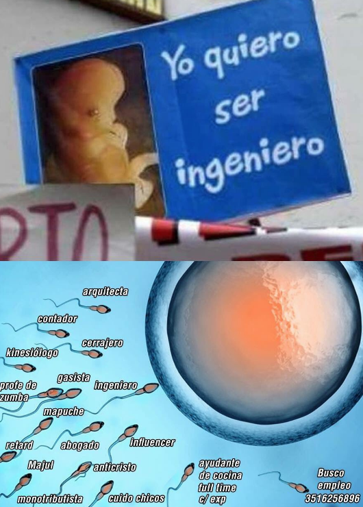 Memes del feto ingeniero