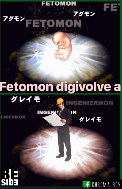 Memes del feto ingeniero