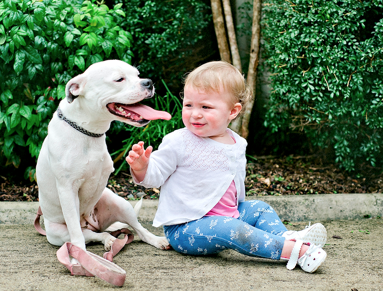 Niña y perrita con la misma minusvalía se hacen mejores amigas