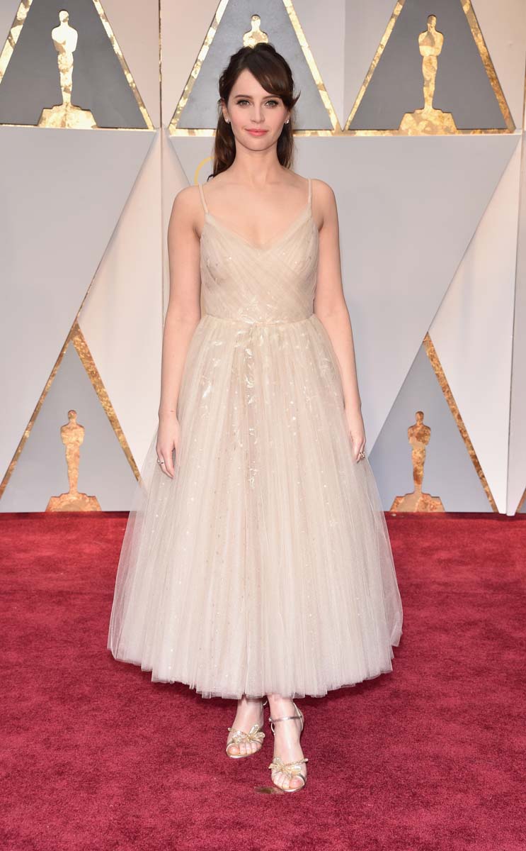 Alfombra roja de los Oscars 2017