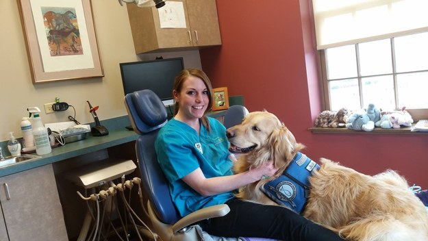 Jojo, el perro que trabaja en el dentista