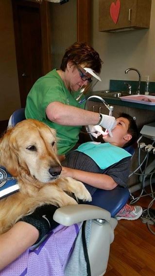 Jojo, el perro que trabaja en el dentista