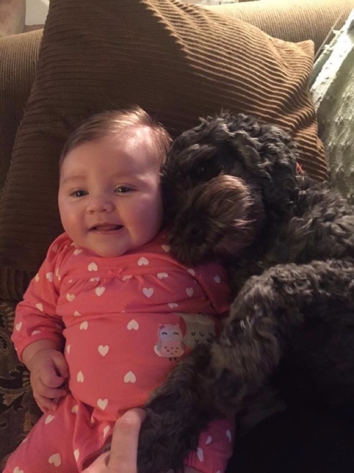 Perro salva a bebé en un incendio 