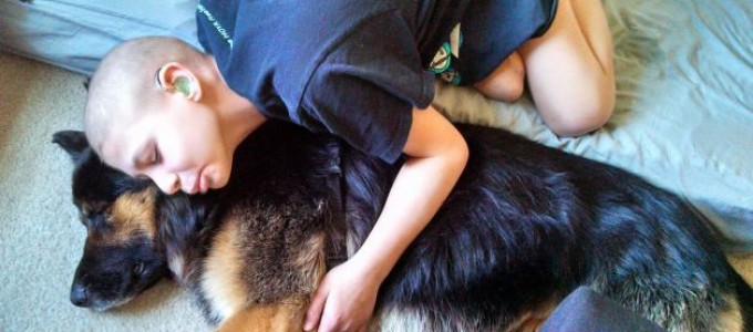 Perros que cuidan de niños