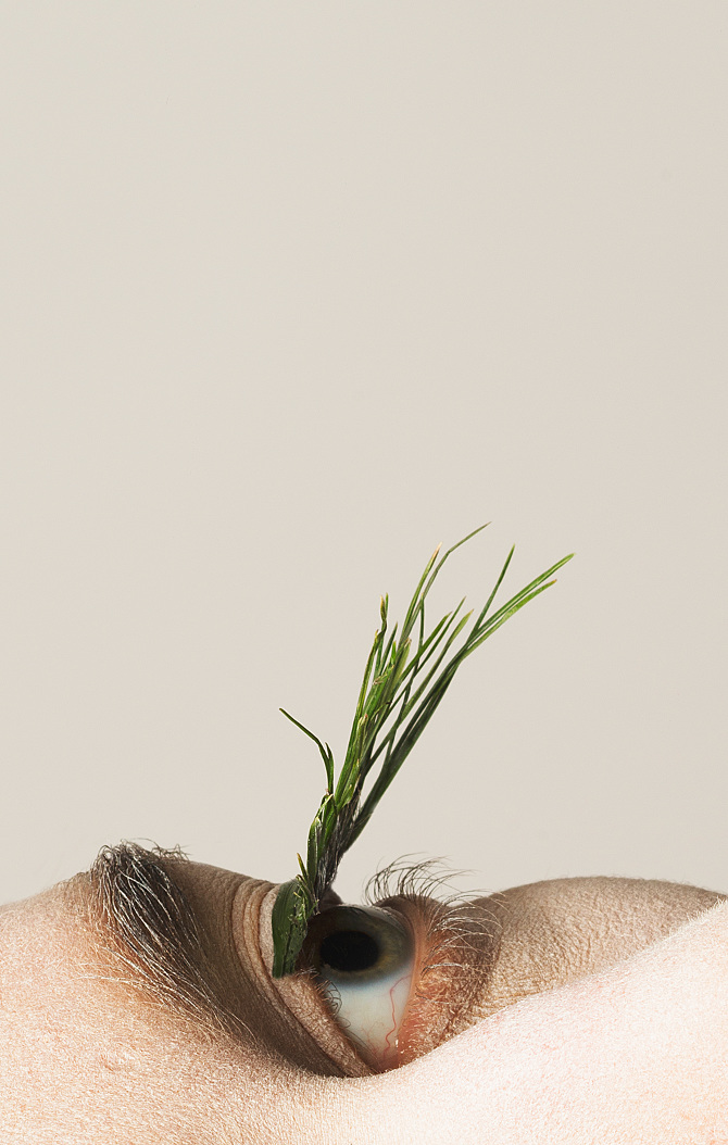 Pestañas postizas de hierba