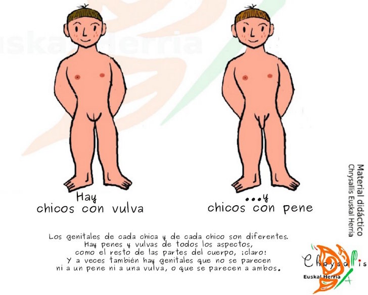 Guía para explicar la transexualidad en los colegios