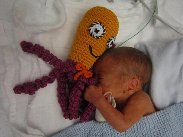 Pulpos de lana para bebés prematuros