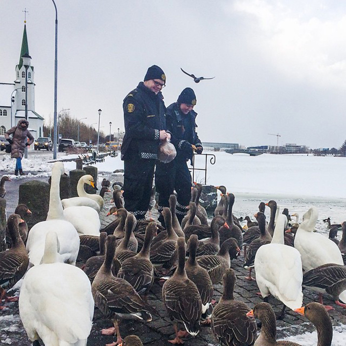 Instagram de la Policía de Reykjavik